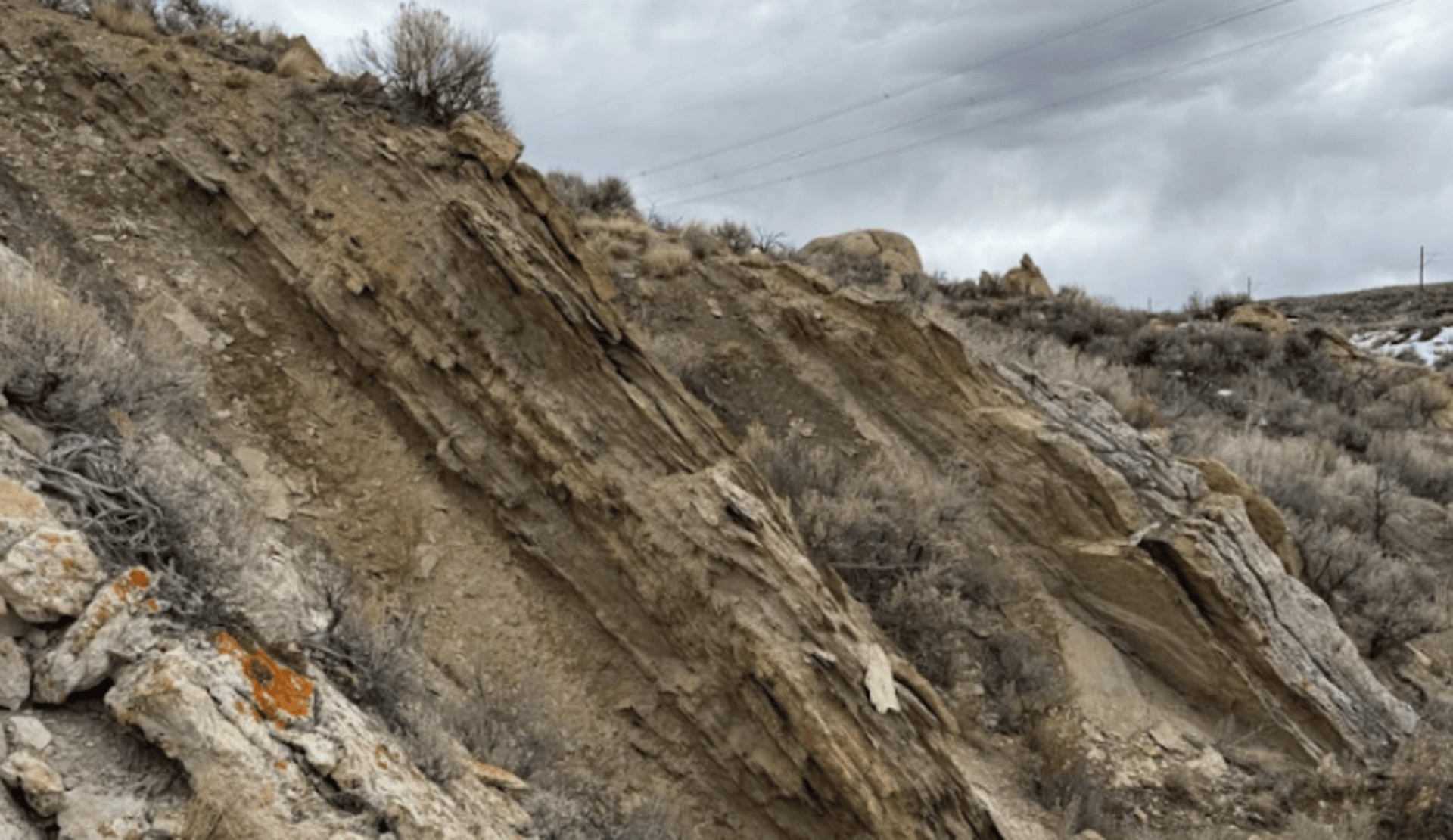 Pioneer brightens mind from Skull Creek’s soil geochemistry