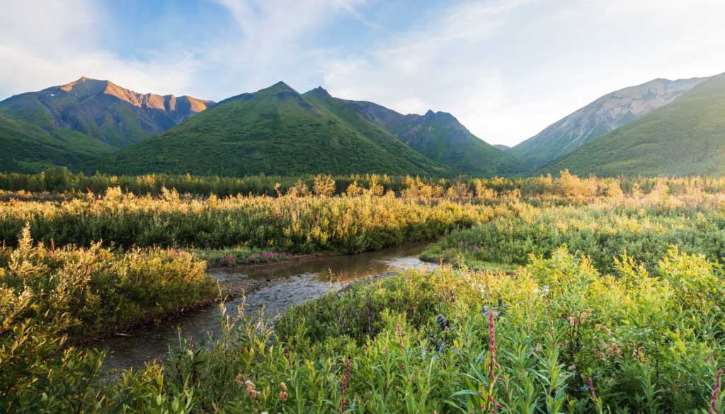 Panther Minerals launches C$3 million private placement