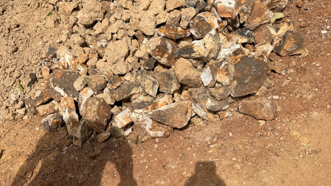 Dalaroo on Priority 2 after collecting more than 2,000 samples