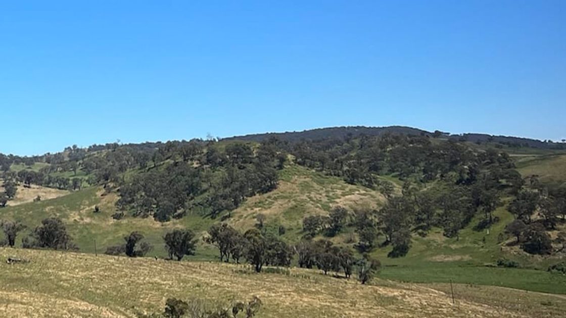 Legacy shifts New South Wales focus with Glenlogan divestment
