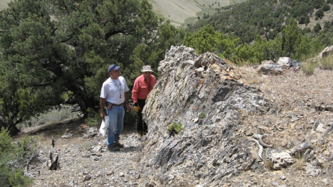 Nevada Organic expands potential phosphate resource in US