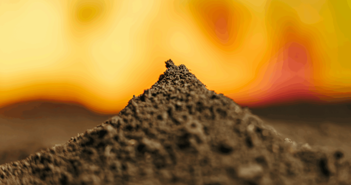 Nevada Organic to strengthen understanding of Murdock Mountain