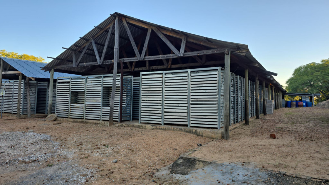 Atomic Eagle extends uranium zones at Muntanga