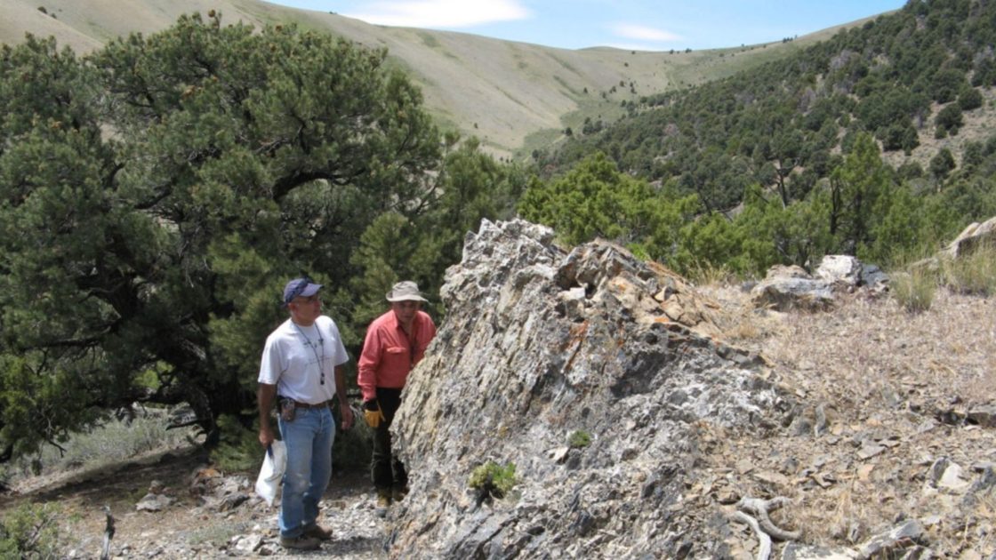 Nevada Organic positions itself as ‘genuinely differentiated’