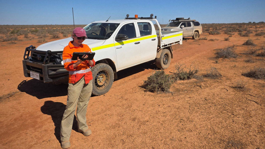 Orpheus Uranium Radium Hill