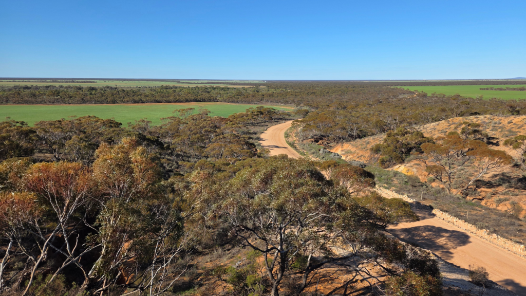 Orpheus Uranium Pirie Basin