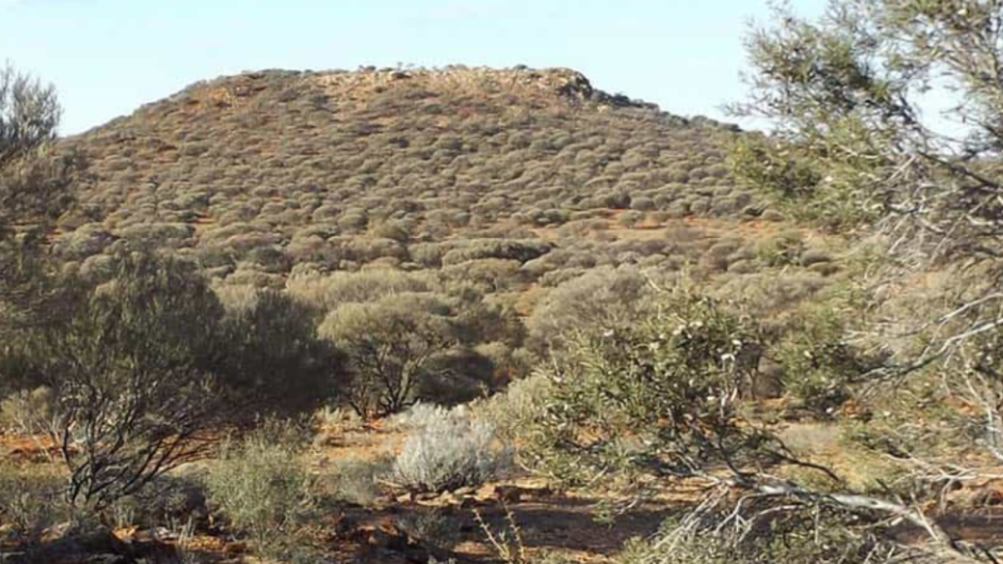 Mt Malcolm Mines
