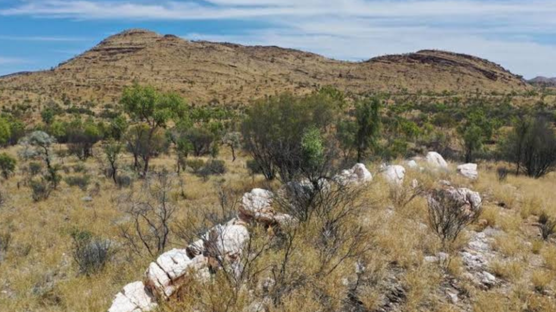 New Frontier recommences field activities at Harts Range