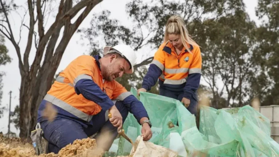 North Stawell spots two potential Caledonia target extensions