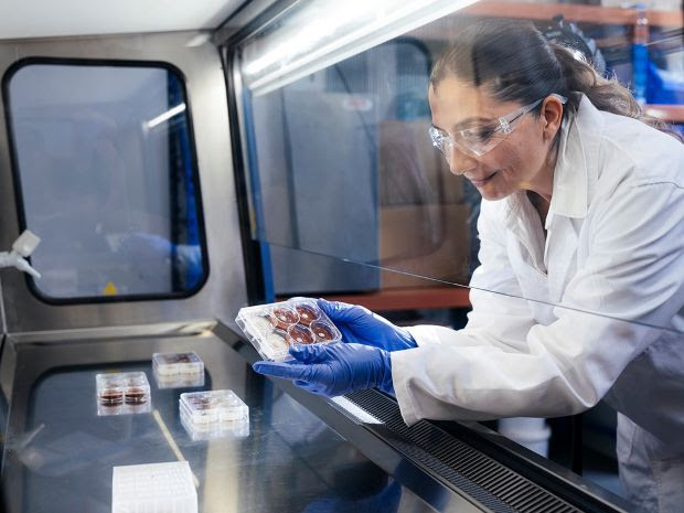 UQ offers greener path to critical minerals recovery