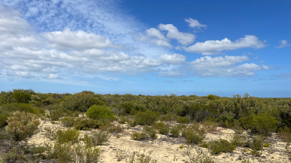 WA Government backs VRX Silica’s Muchea land swap