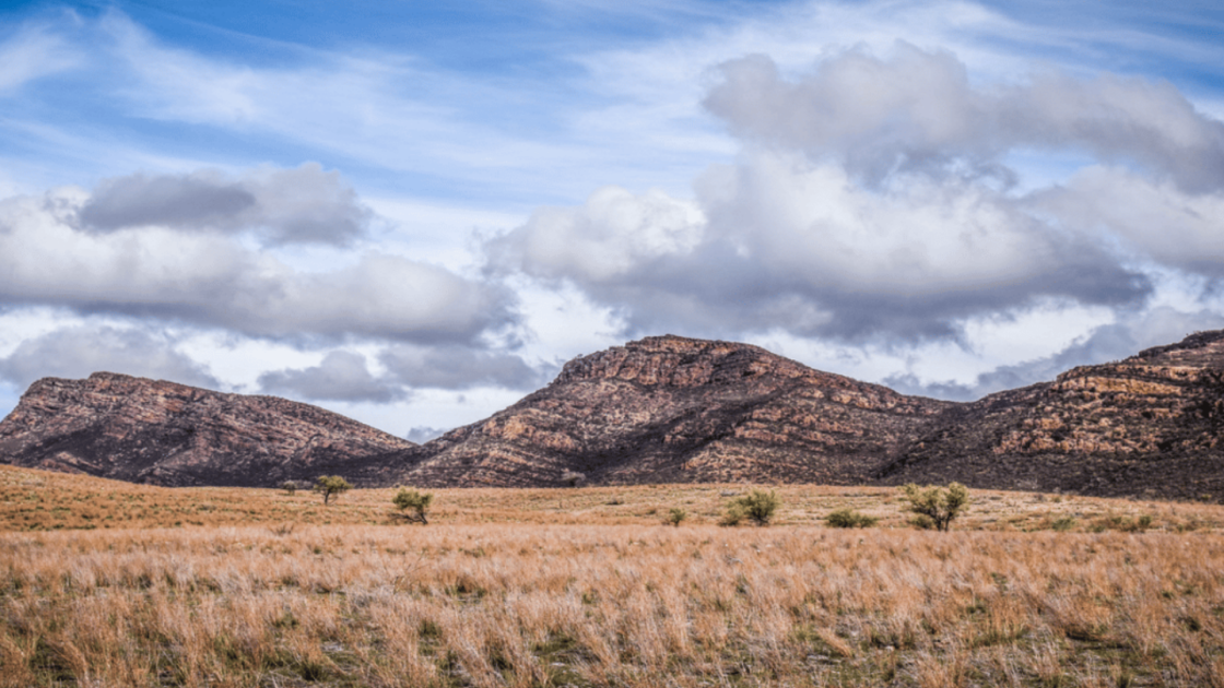 Adavale’s London-Victoria lode grows deeper