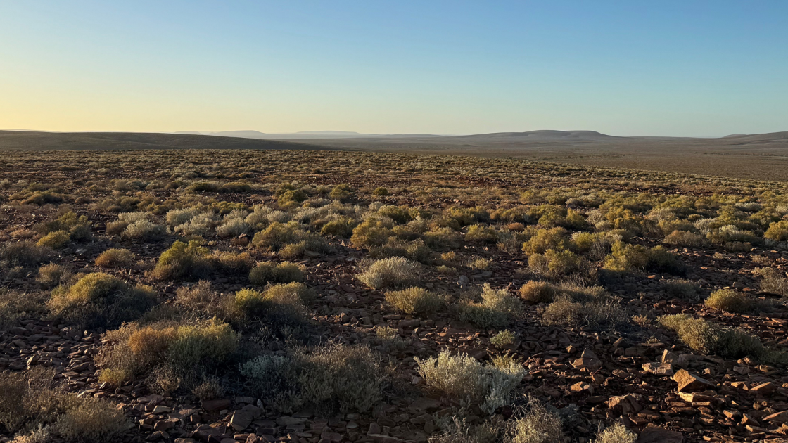 Coda Minerals Elizabeth Creek Project in South Australia