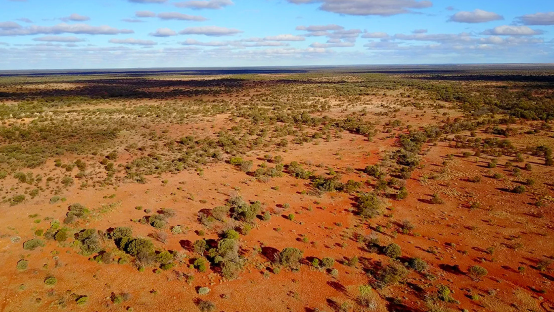 Great Western begins drilling at Diorama copper-gold target
