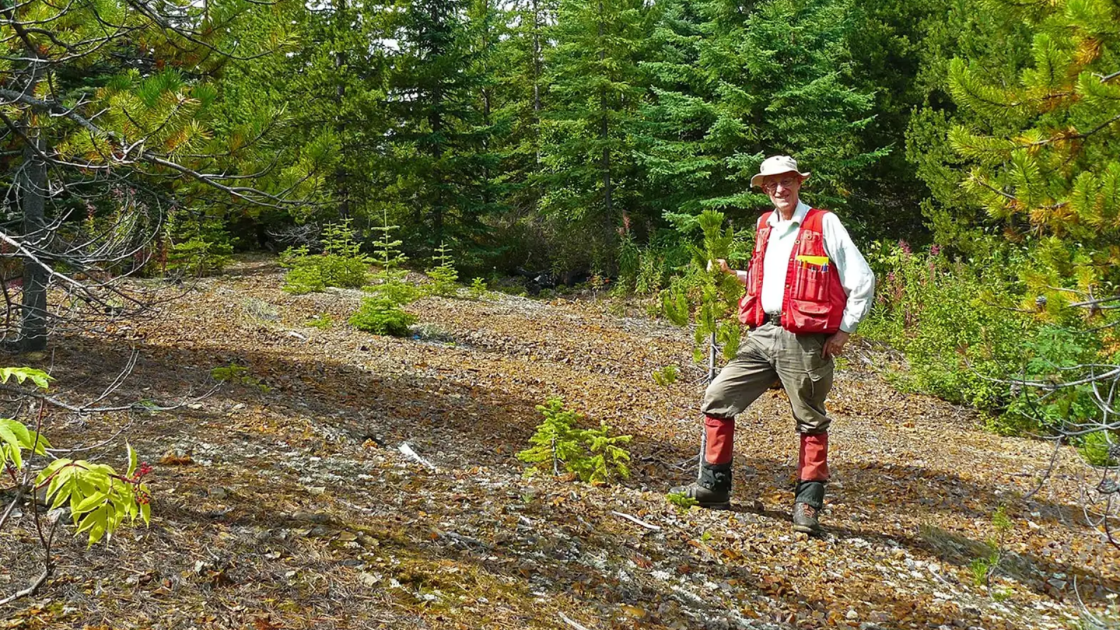 Maverick’s Silver Vista exploration gets the nod