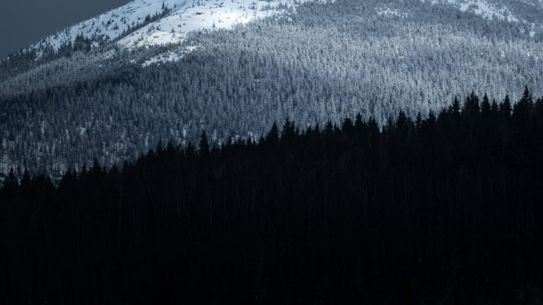 Osisko completes 13,000m infill drilling at Cariboo