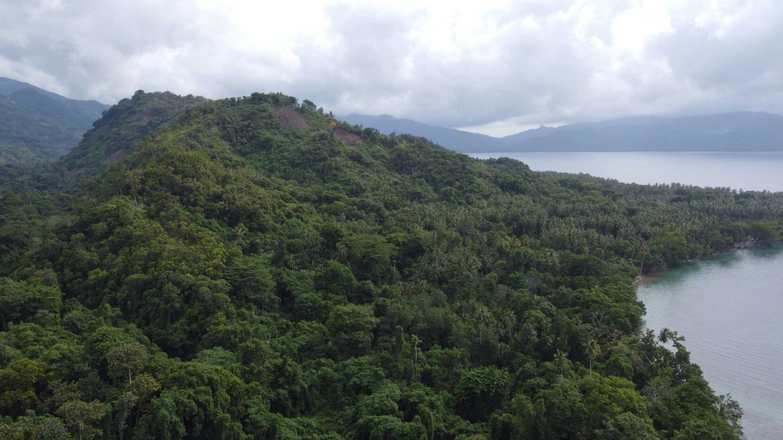 Taruga clears the path to Weioko gold