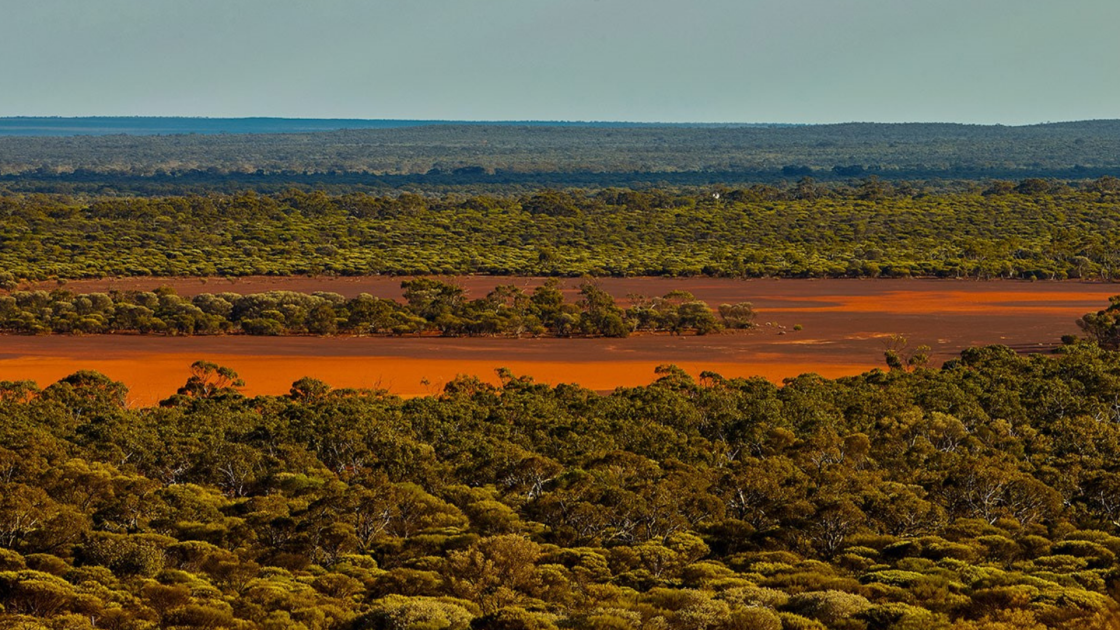 Terrain confirms gold across three Wildflower targets