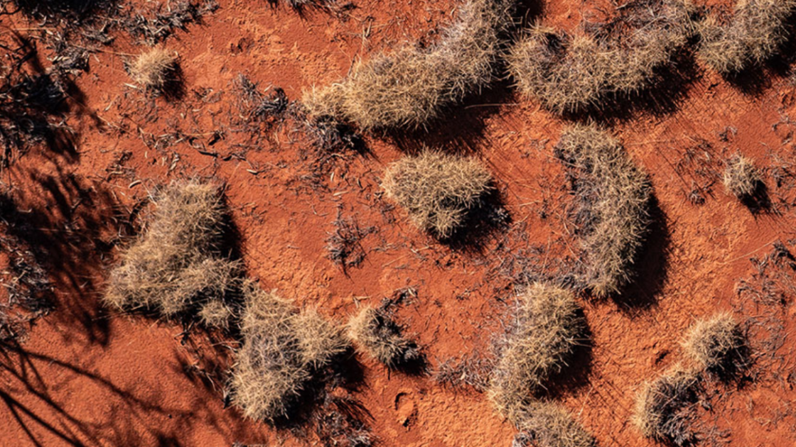 Top view of Western Australia