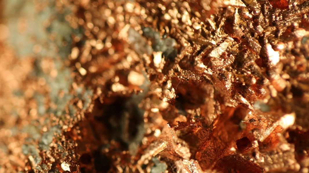 Vita expands Ninnis Gold drilling program
