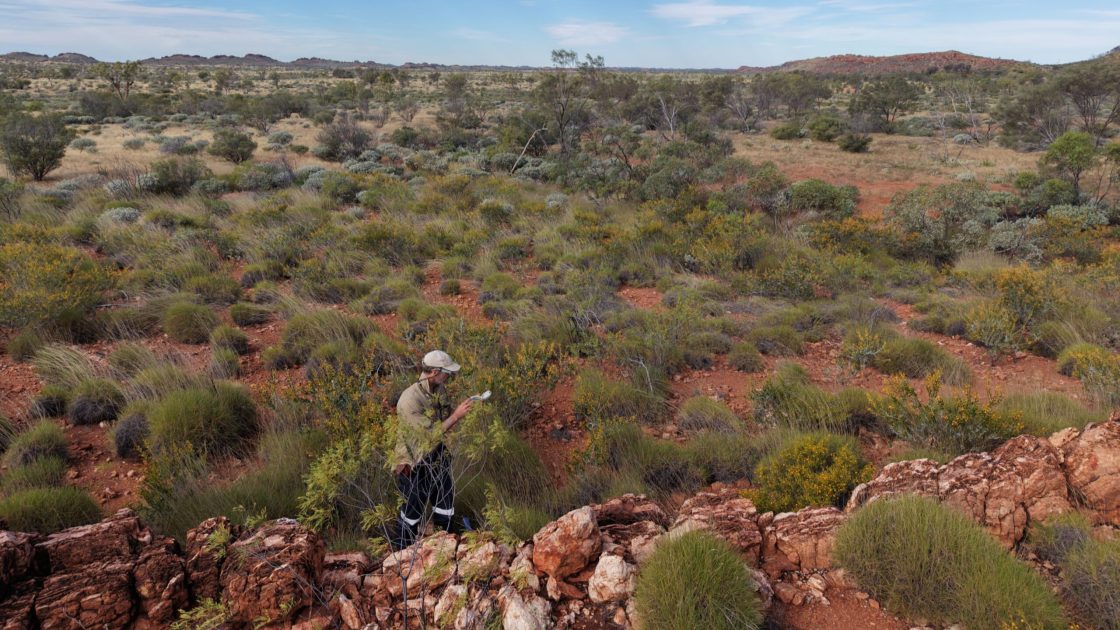 Image of Northern Territory, Australia