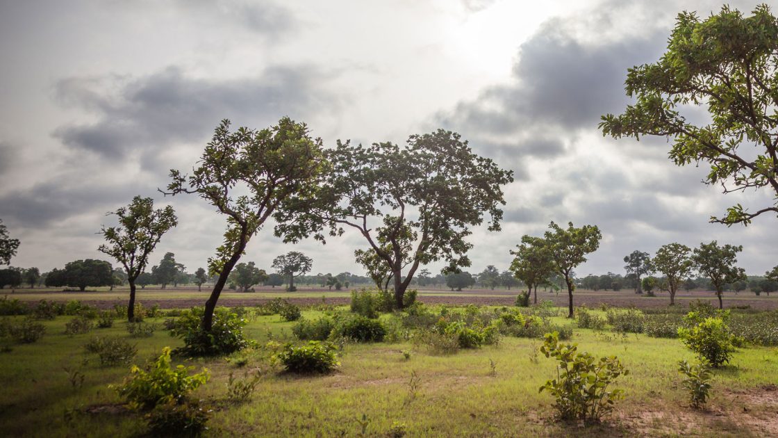 Turaco Gold appoints two non-executive directors