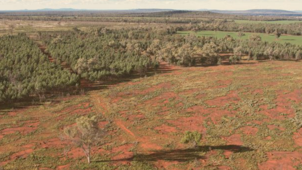 Mount Hope awards drilling contract for Mt Solitary
