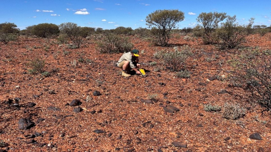 Legend completes heritage survey at Pinnacle Well