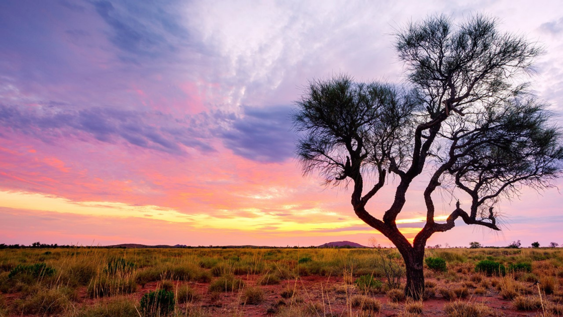 Antipa extends Fiama North in first batch of drill assays