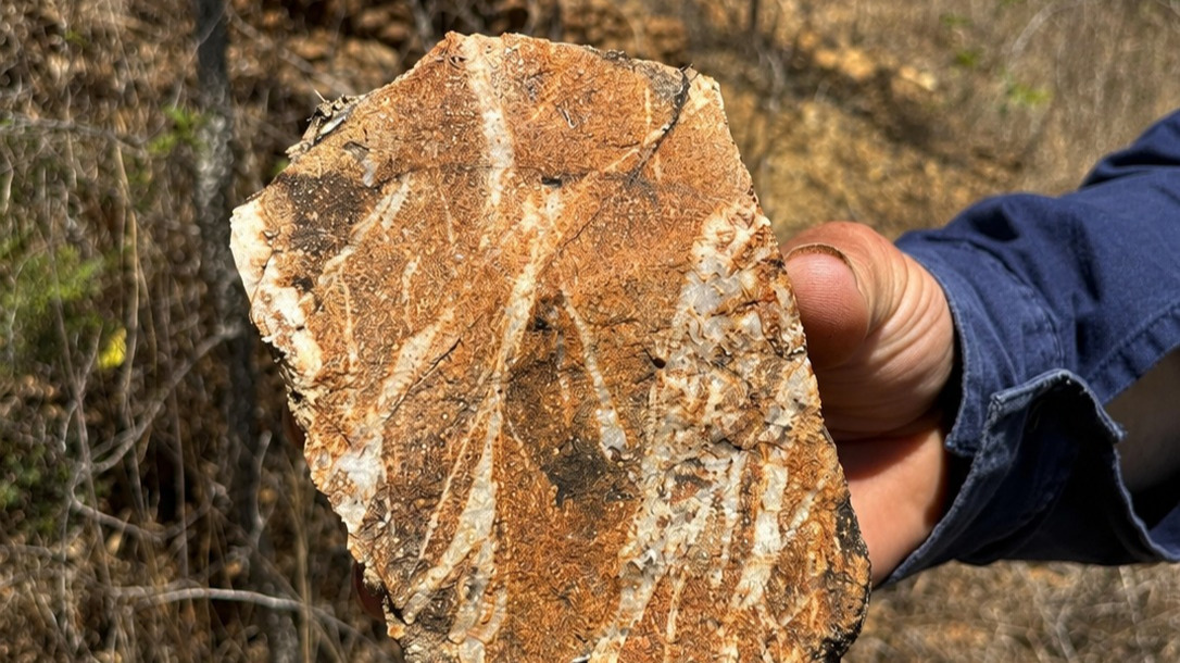 Image of hand holding a rock