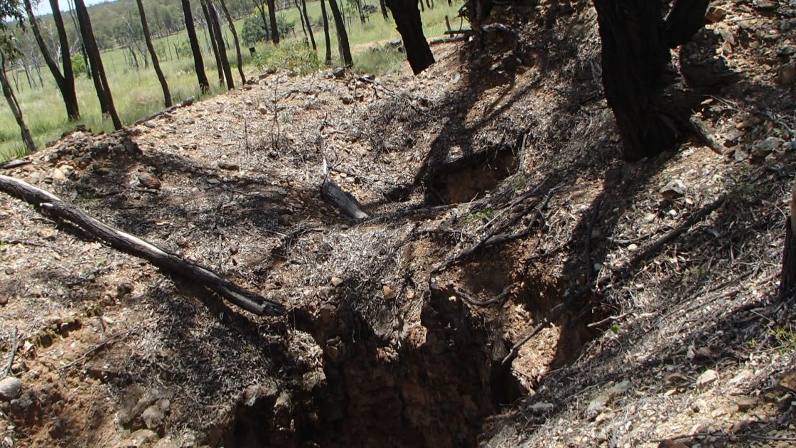 Dart Mining confirms continuous mineralisation over Banshee strike