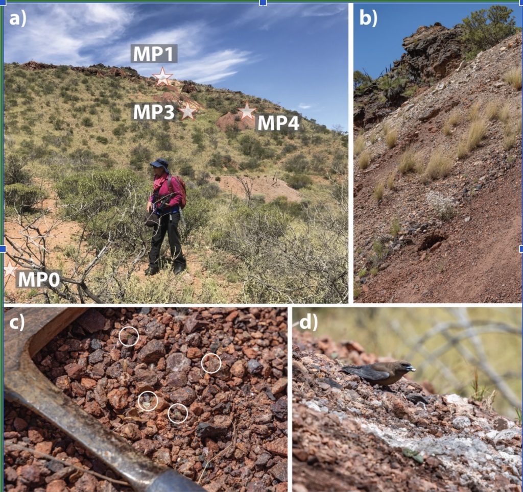 Monash University researchers have discovered high concentrations of polymetallic nanoparticles near the surface in the Mount Painter site, SA.