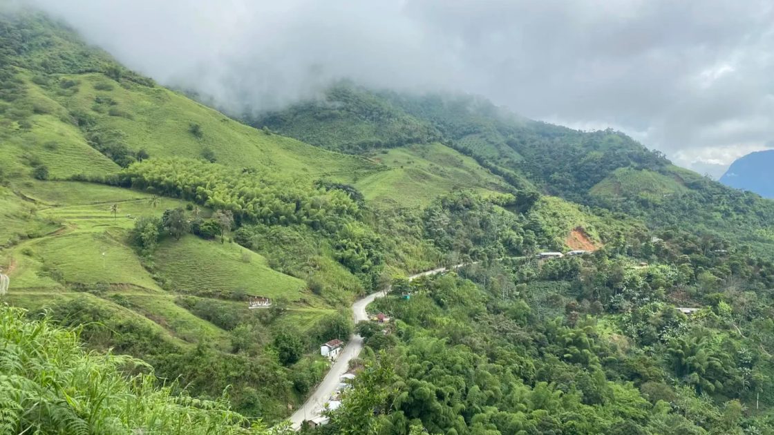 Image at Tiger Gold's Quinchia Gold Project in Colombia