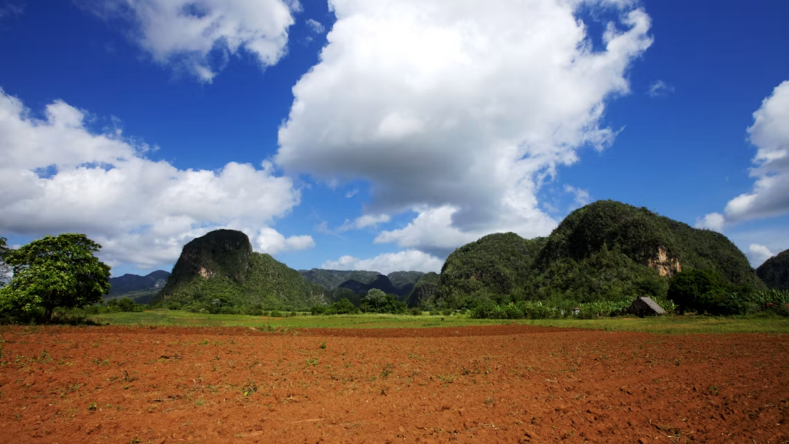 Antilles Gold stock
