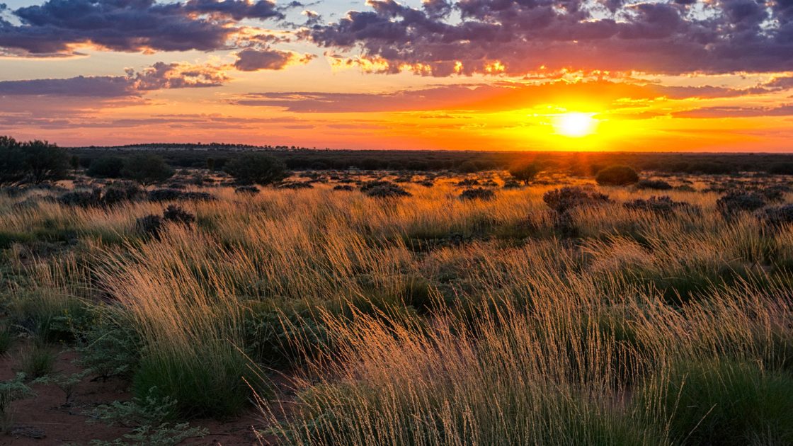 Image of sunset