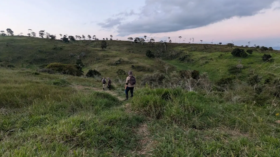 Gold Mountain reports ‘strong’ rare earth testwork at Capivara