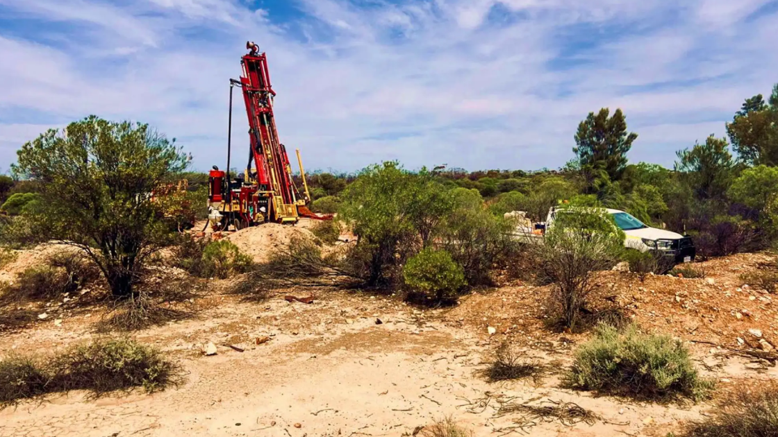 Gorilla Gold beats its chest at Vivien discovery