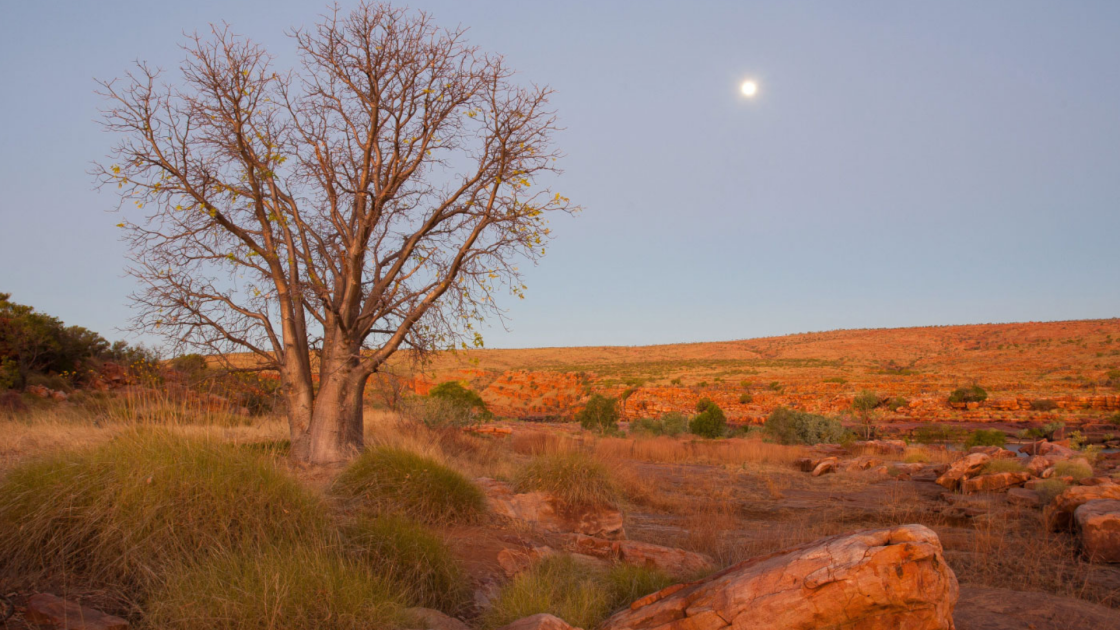 Odessa Minerals Lockier Range Project in Western Australia