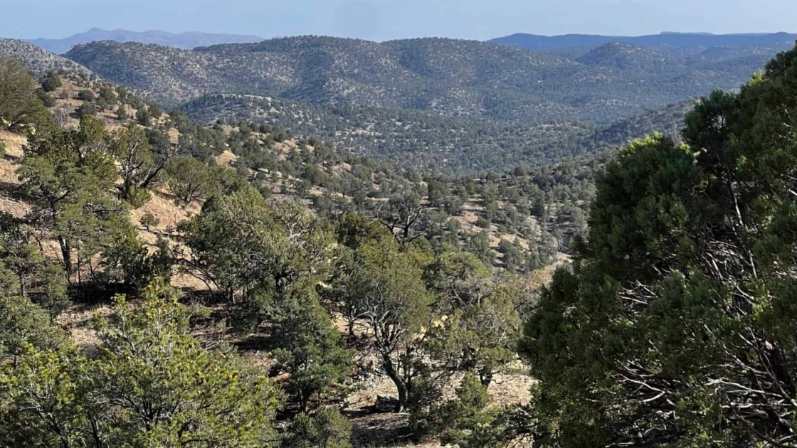 Rio Grande’s golden results flow from Winston