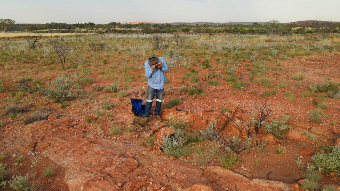 Tambourah Metals Tambourah Gold Project in Western Australia