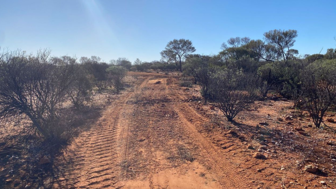 TechGen Metals Blue Devil Project in Western Australia