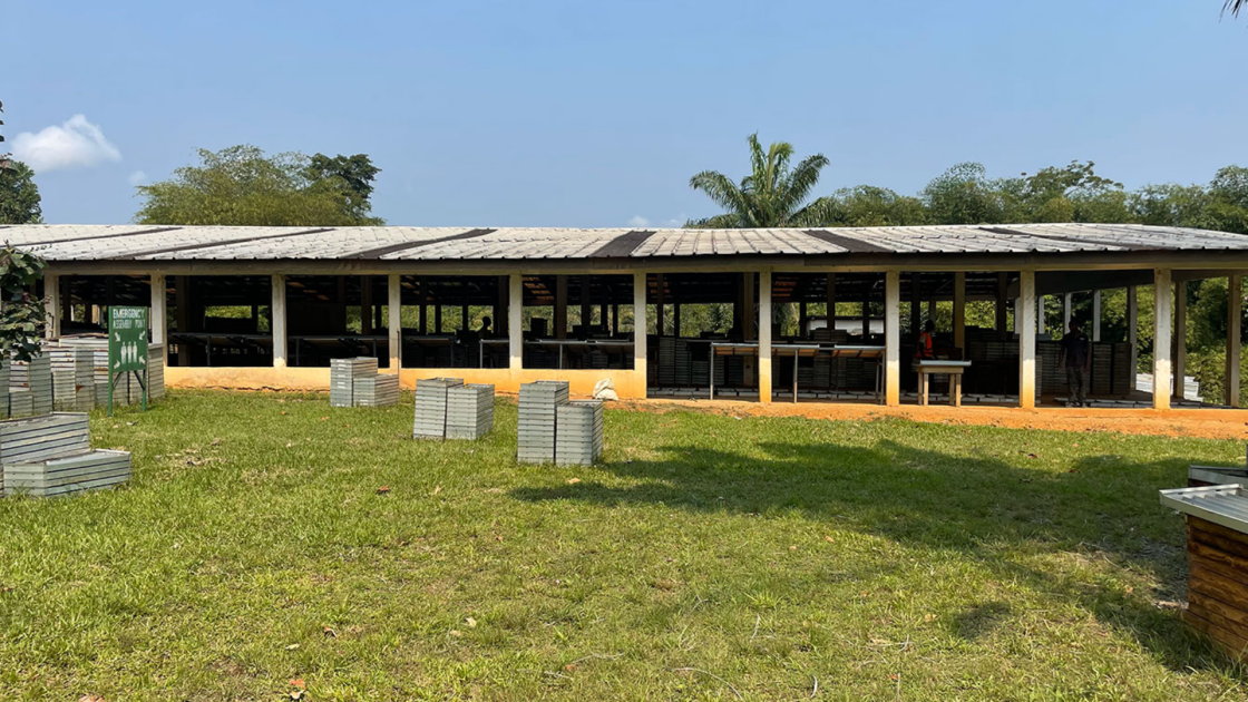 Turaco appoints project development director