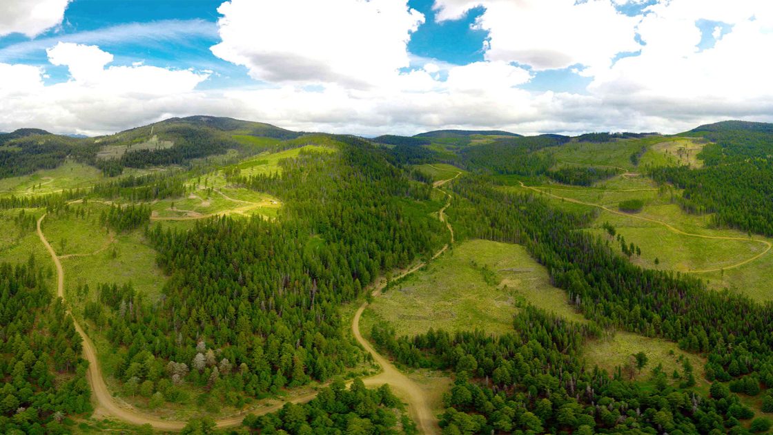 Westhaven extends Shovelnose gold beyond mine plan