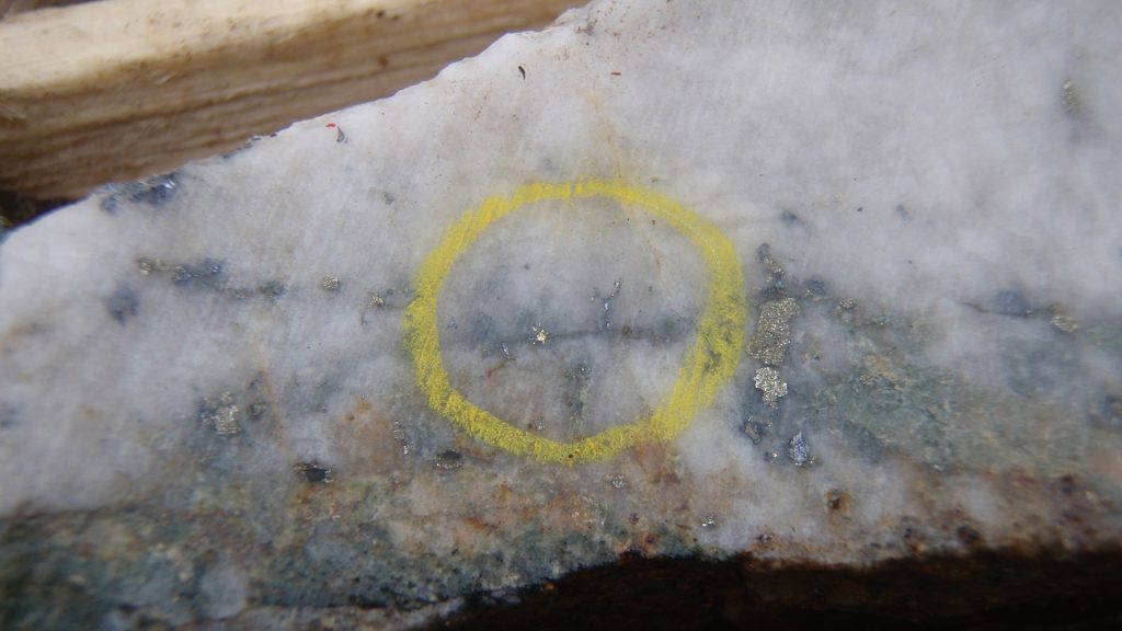 Close-up photo of gold mineralisation in cylindrical rock sample