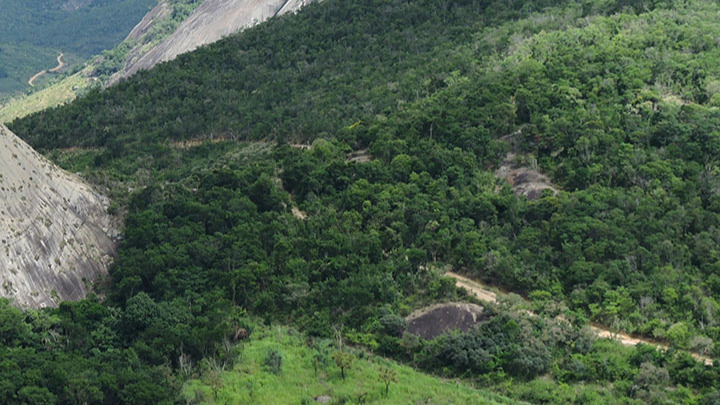 Power Minerals sets Morro do Ferro MREO ‘record’