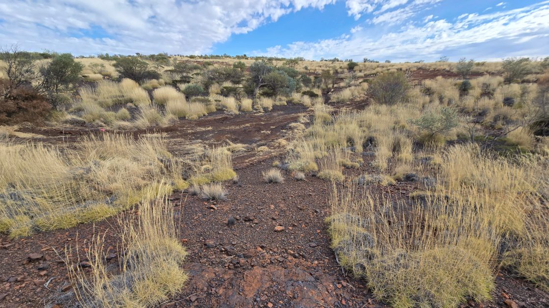 At Wandanya Project, Western Australia