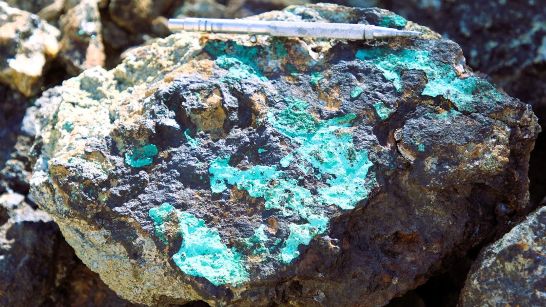 Hawk intersects ‘strong’ copper mineralisation at Cactus