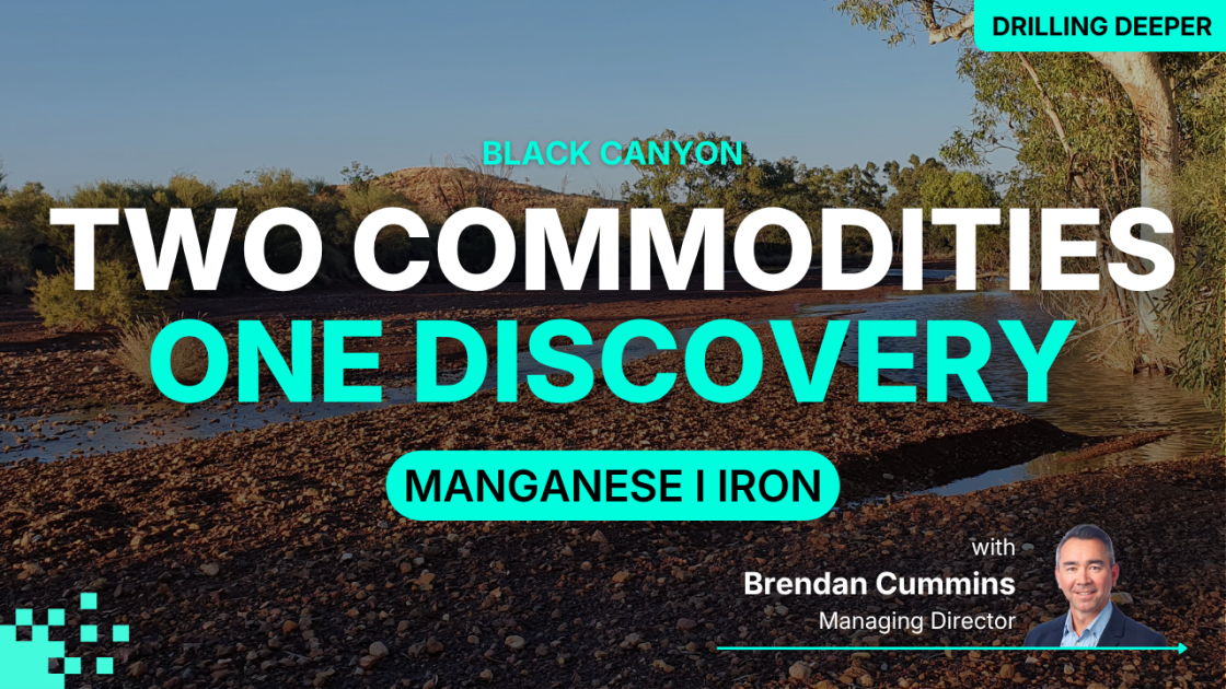Wandanya keeps delivering manganese & iron