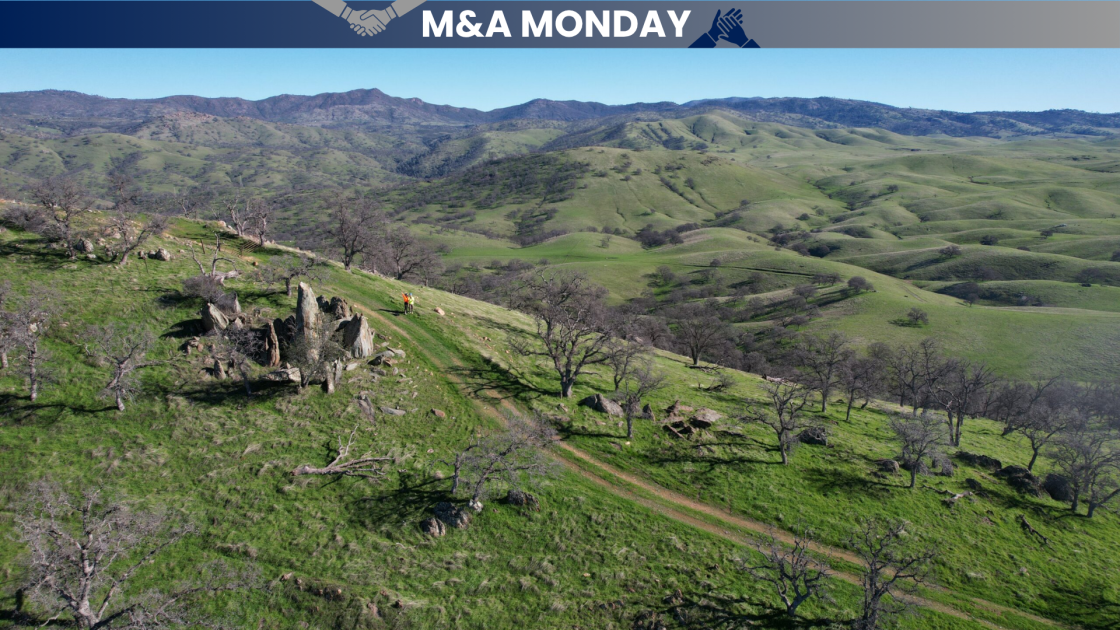 M&A Monday: Blue Moon not standing alone in US project acquisition