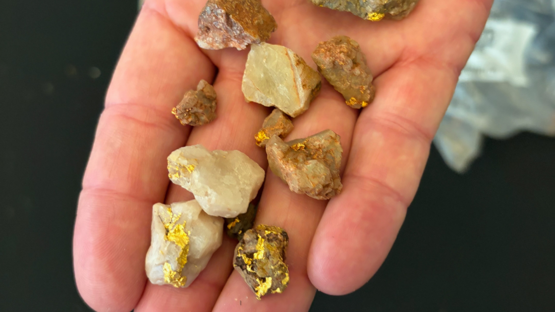 Hameline Gold Hand of Gold